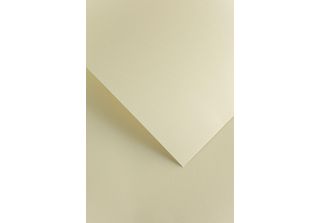 Galeria Papieru Carta Decorativa Florida Avorio 220G, 20 Pezzi