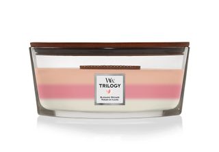 Woodwick - Blooming Orchard Trilogy Ship ( Blooming Orchard ) 453.6G