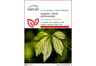 Saflax - Jiaogulan / Pianta Dell'immortalità - 30 Semi - Gynostemma