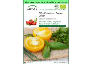 Saflax Garden To Go - Bio - Pomodoro - Golden Queen - 15 Semi - Solanum