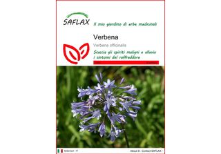 Saflax - Verbena - 250 Semi - Verbena