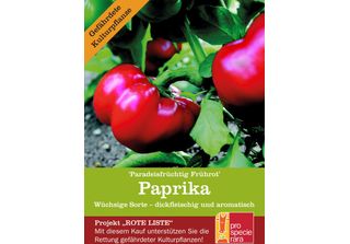 Paprika Rossa Precoce | Semi Di Paprikadi Prospecierara