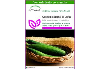 Saflax - Cetriolo Spugna Di Luffa - 10 Semi - Con Substrato - Luffa