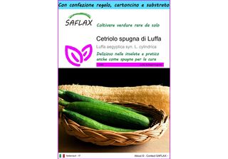 Saflax Set Regalo - Cetriolo Spugna Di Luffa - 10 Semi - Luffa