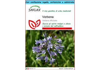 Saflax Set Regalo - Verbena - 250 Semi - Verbena