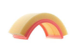 Ridex 8A0012 - Filtro Aria Oe 1058022 Per Focus (Daw, Dbw), Focus (Dnw), Focus …