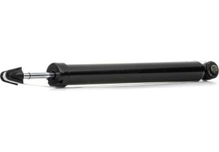 Ridex 854S0070 - Oe 1075585 StoßDäMpfer Per Focus (Daw, Dbw), Focus (Dfw)