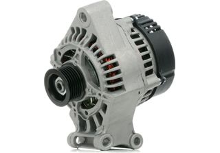 Stark SKGN-0320056 - Lampada Oe 1064383 Per C-Max, Fiesta V, Focus C-Max (DM2),…