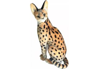 Serval 49Cm