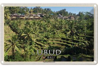 Vianmo Insegna Di Latta 12X18 Cm Ubud Bali Tegalalang Reisterrassen