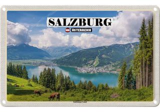 Vianmo Insegna Di Latta 12X18 Cm ÖSterreich Salzburger Land Natur