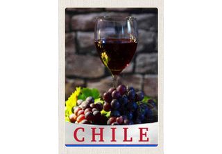 Vianmo Insegna In Legno 30X20 Cm Chile Wein Trauben Tradion