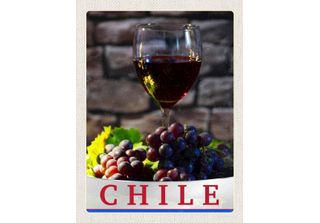 Vianmo Insegna In Legno 40X30 Cm Chile Wein Trauben Tradion