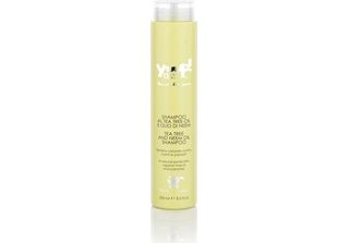 Shampoo All'olio Di Tea Tree E Neem Yuup 250 Ml Home
