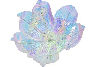 Fiore Su Clip Fiori