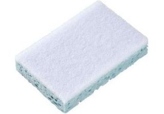 Spontex Tampone Abrasivo Sponrex 79 10 Pz.