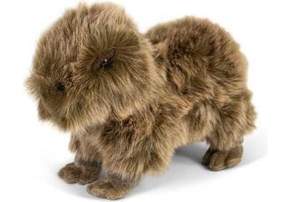 Capibara Animigos Giocattolo Di Peluche
