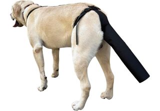 Inf Protezione Regolabile Coda Cane - Cura Ferite, Anti-Morso E Perdita Pelo Gr…