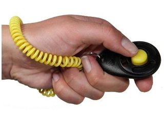 Starmark Clicker De Luxe Per L'addestramento