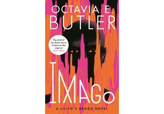 Imago