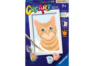 Ravensburger Creart Soriano Arancione