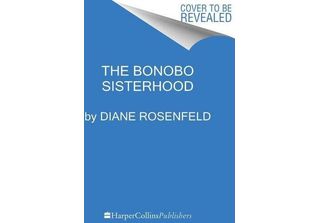 La Sorellanza Dei Bonobo