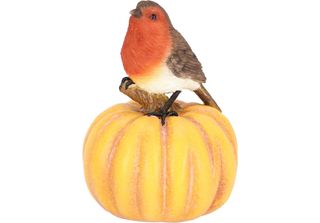 Esschert Design Robin Su Zucca