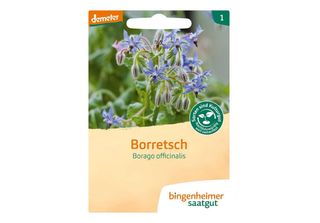 Borragine - Borago Officinalis