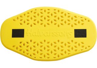Paraschiena Halvarssons Okelbo, Giallo, L