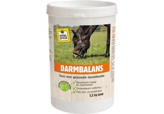 Vitalstyle Equilibrio Intestinale 1,2 Kg