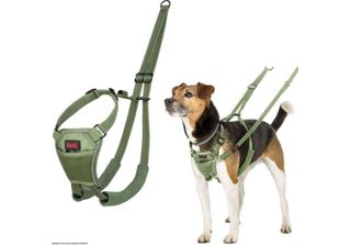 Pettorina Per Cani Compagnia Degli Animali Forest Verde 12