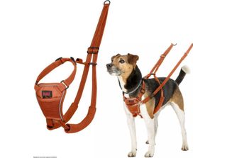 Hundegeschirr Compagnia Degli Animali Arancia Bruciata 12