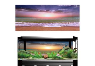Poster Per Acquario, Poster Per Acquario, Poster Effetto 3D, Poster Adesivo, Po…