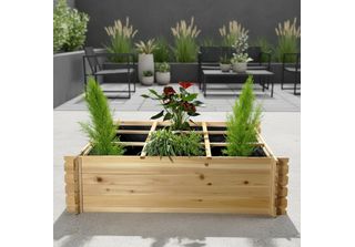 Aiuola Rialzata Mucola Fioriera In Legno Aiuola Per Ortaggi Aiuola Per Piante A…