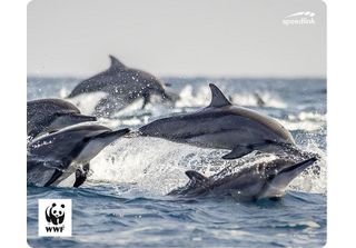 Speedlink SL-620300-WWF10 Speedlink Mousepad Terra Wwf Delfin Delfin