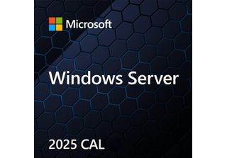 Windows Server Cal 2025 Polish 1Pk Dsp Oei 5 Clt Device Cal Software