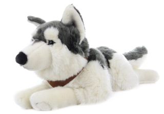 Peluche Husky