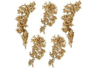 Canella Piante Secche Decorazione Naturale Rami Decorativi Secchi Naturale Set …