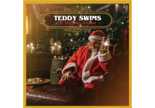 Teddy Nuota: Un Natale Molto Teddy