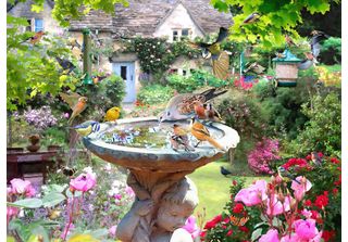 House Of Puzzles Puzzle Summer Birds - Puzzle Da 1000 Pezzi Per Adulti