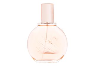 Gloria Vanderbilt Miss Vanderbilt Edt 100 Ml W