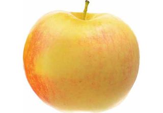 Malus Domestica James Grieve 130 Cm / 5 Litri Melo In Vaso - Mezzo Fusto - Colt…
