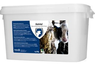 Calvital