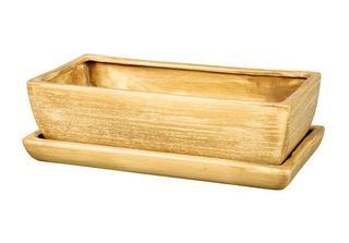 Scatola Di Cactus Kaktus O Teak Con Piattino 28 Cm Opaco Marrone Chiaro