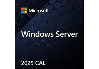 Windows Server Cal 2025 Polish 1Pk Dsp Oei 5 Clt User Cal Software