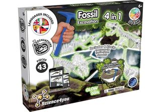 Gioco Educativo Science4You
