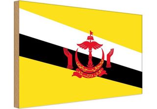 Vianmo Insegna In Legno 20X30 Cm Bandiera Bruneis Flag Of Brunei