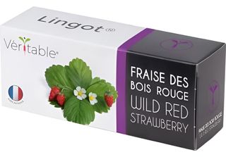 VéRitable Lingot Fragola Rossa Selvatica - Terriccio Per Preimpianti