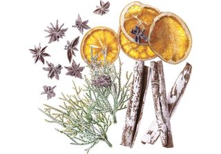Elementi Naturali 19 Pezzi