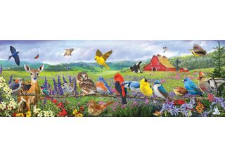 Sunsout Puzzle Xxl - Uccelli Orientali - 500 Pezzi